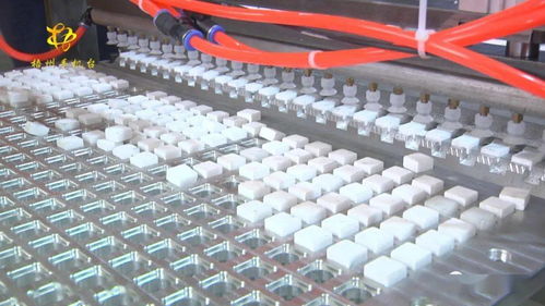 科技創業服務中心 優化孵化環境，強化發電技術服務，賦能科技創新
